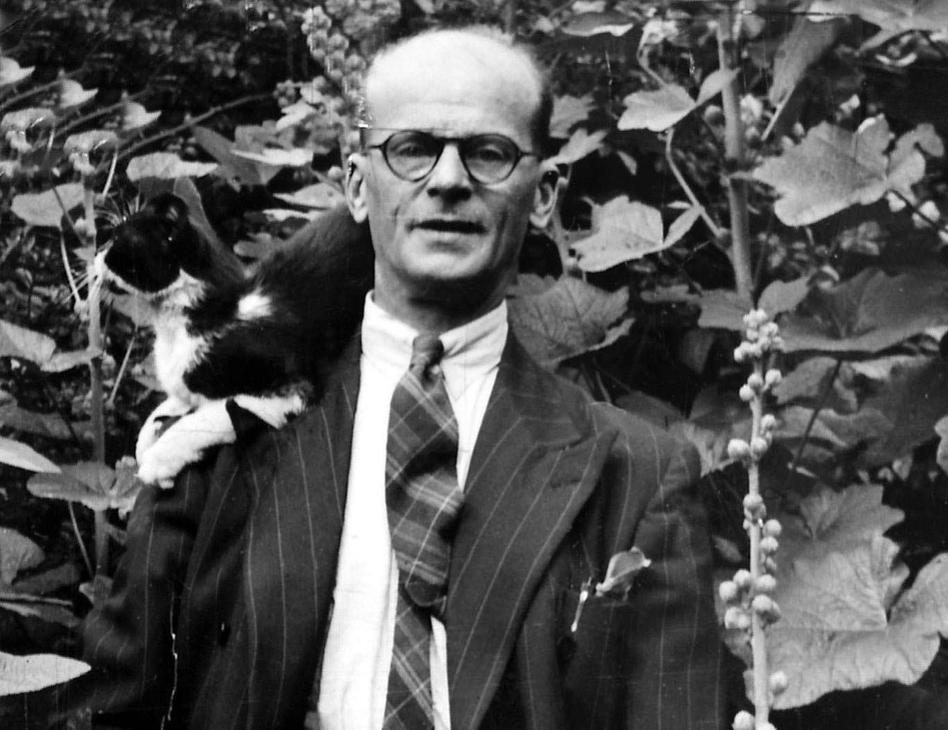 No photo description available.