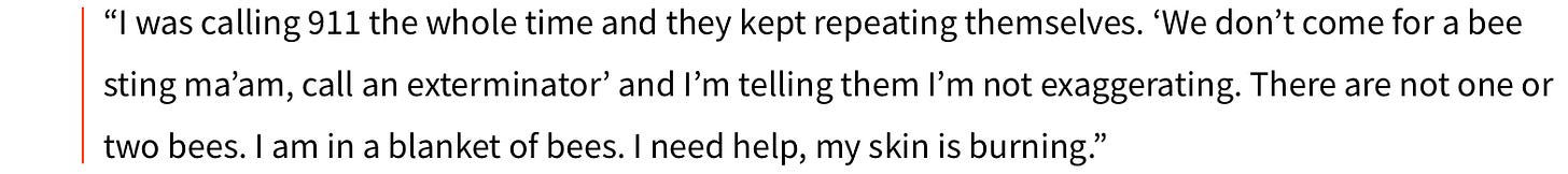 image 13.png image 13.png
