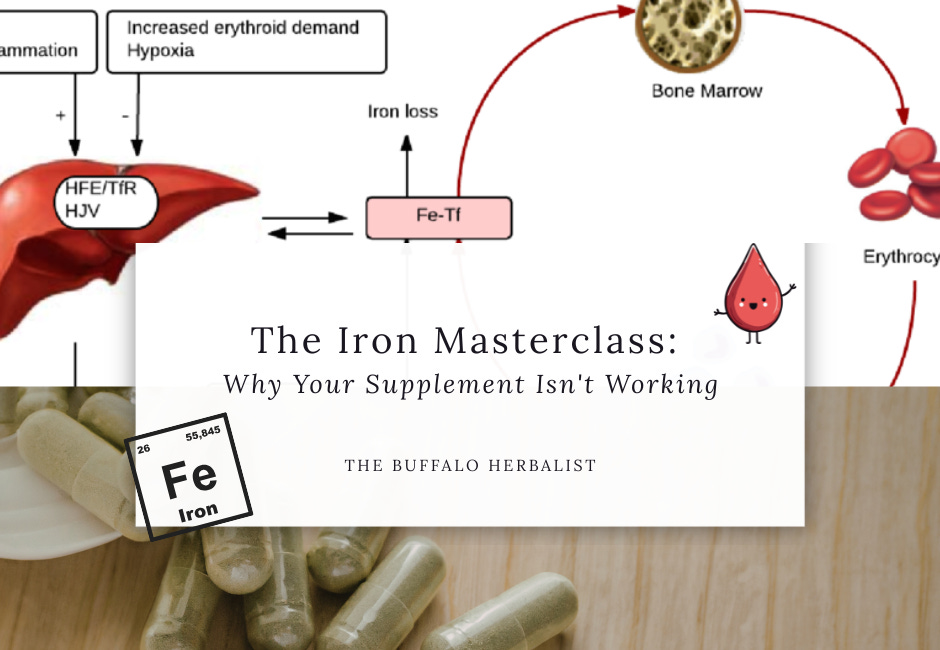 Iron Masterclass: Why Your Supplement Isn't Working