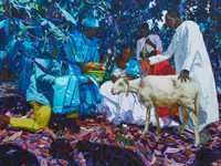 Cocoa Plantations Set the Scene for Divine Events in Marc Padeu's 'Memento Vivere' — Colossal