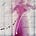 Alice Stephenson's avatar