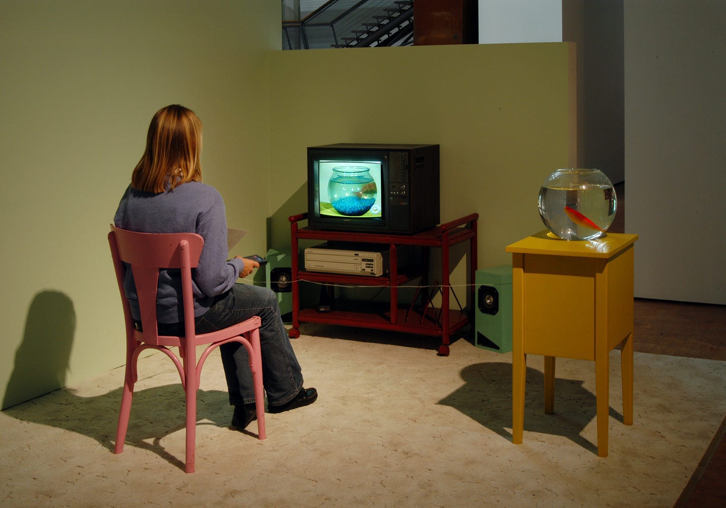 A woman sitting in front of a small TV, next to her a round fishbowl