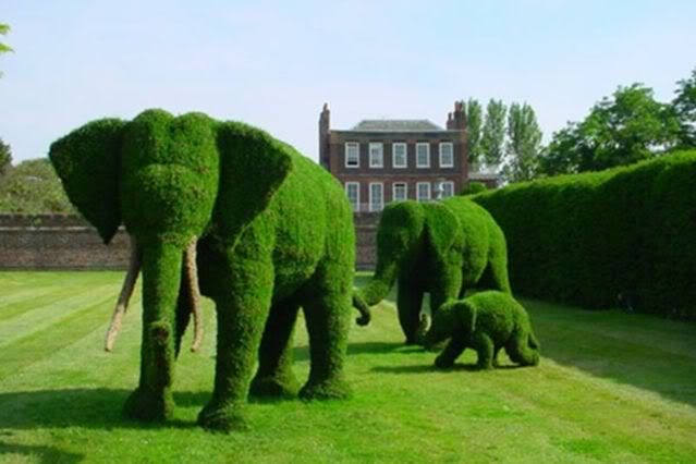 Elephant Garden photo on Sunsurfer