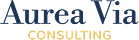 Oriol París Coll | Aurea Via Consulting