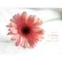 rasamallu swathi's avatar