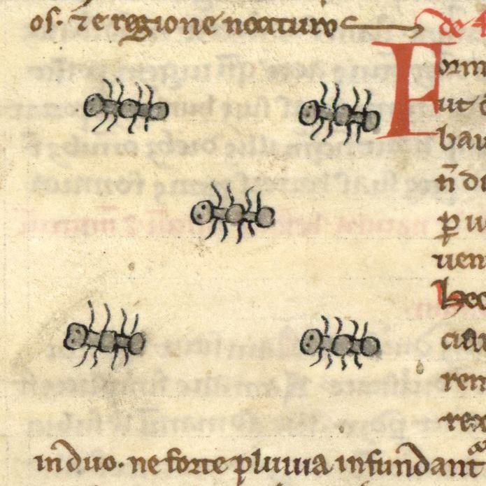 No photo description available.