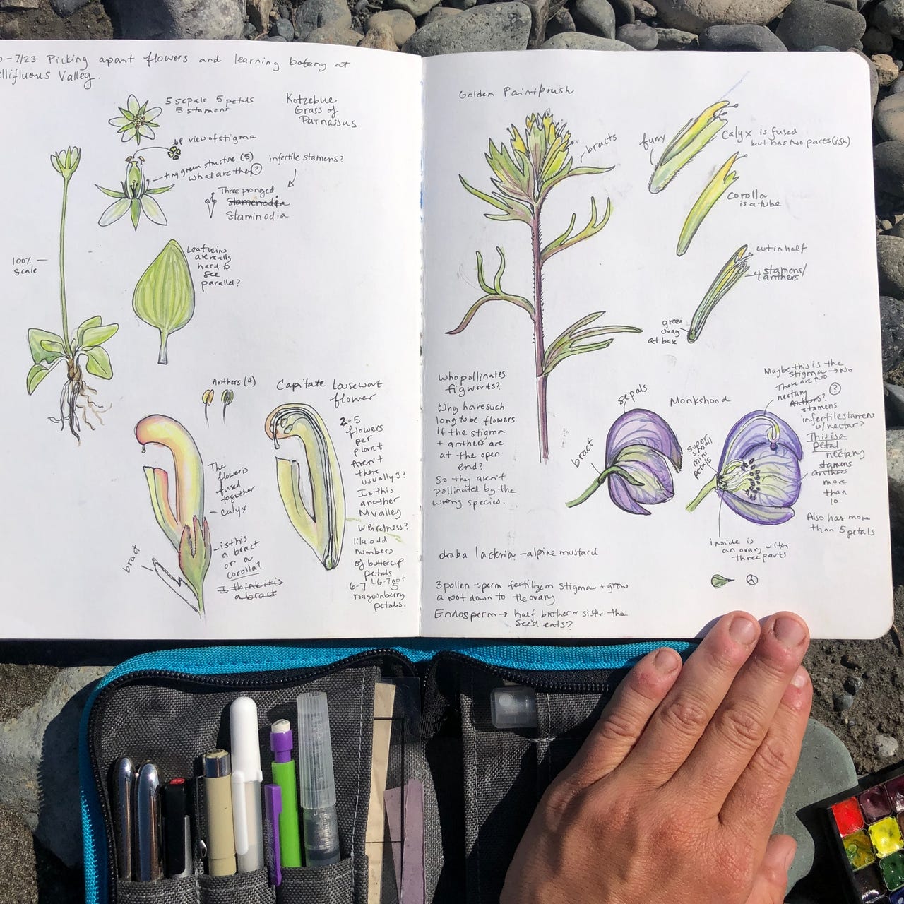 Weekly Nature Journal