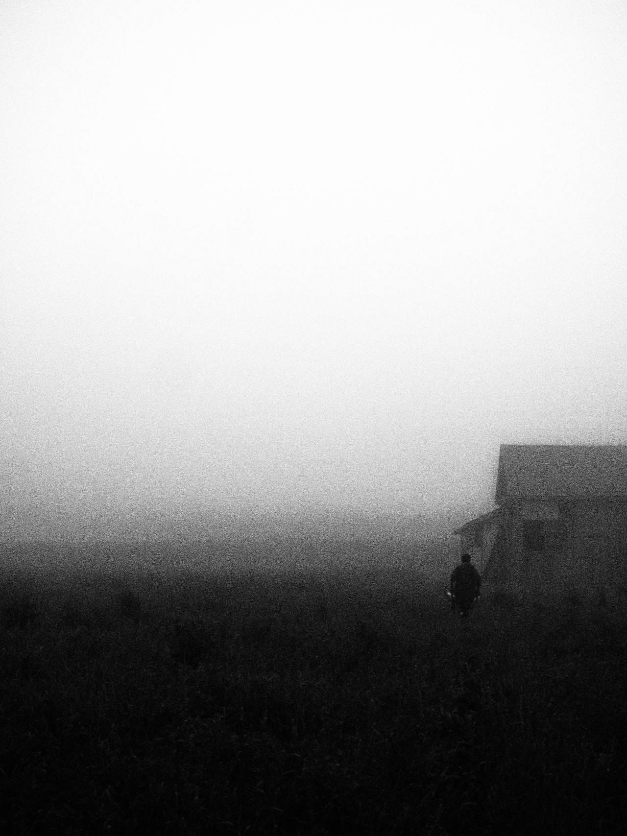 jiji-de-jiji:
“濃霧 Dense fog
© jiji
”