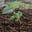 Lessons From the Garden's avatar