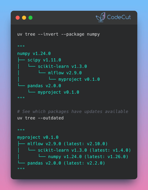 Code example: Stop Manually Tracing Dependencies with uv tree