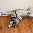 Happy Anniversary To The Miller Test, Which May Not Be Long For This World