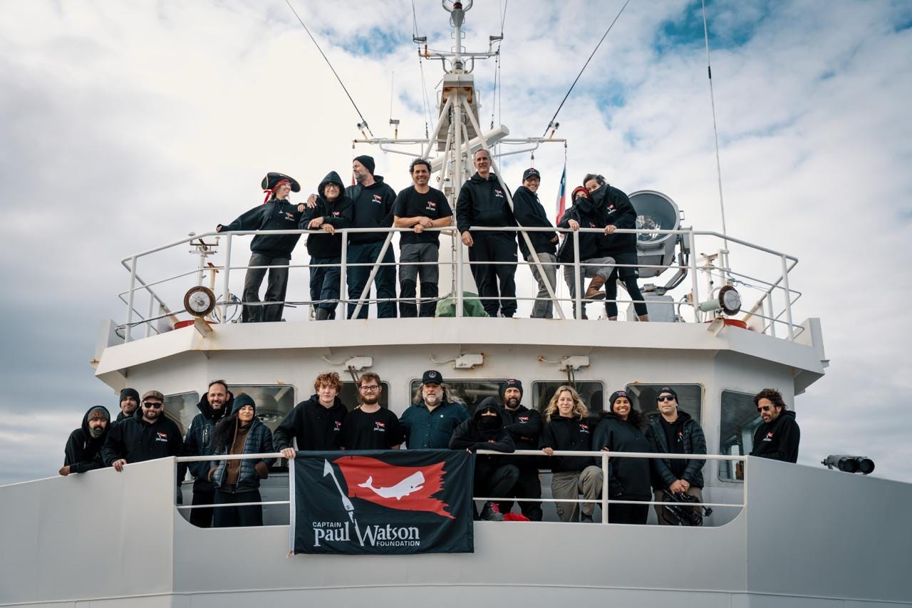 The Krill Wars Have Been Launched - Captain Paul Watson