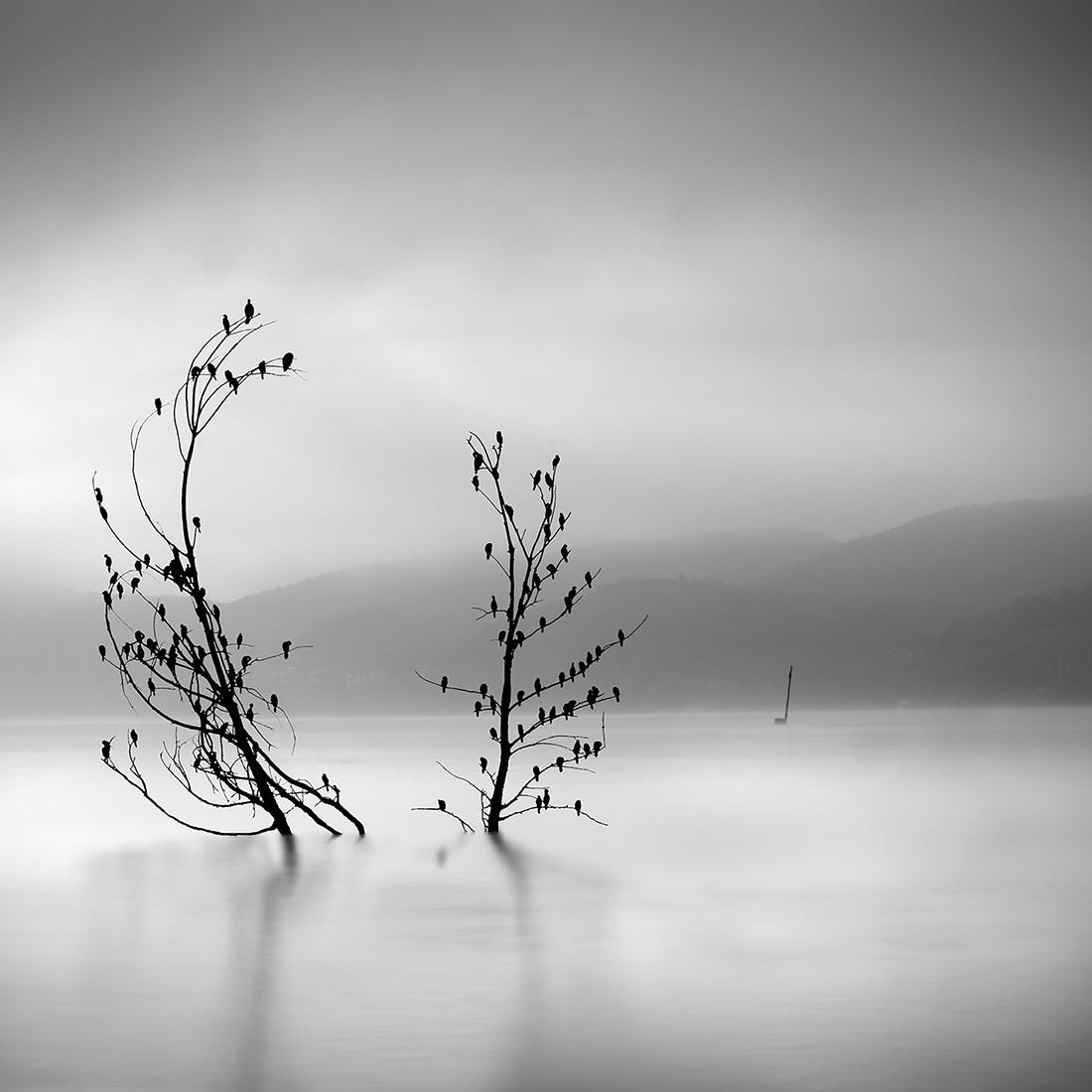 Silent Waters