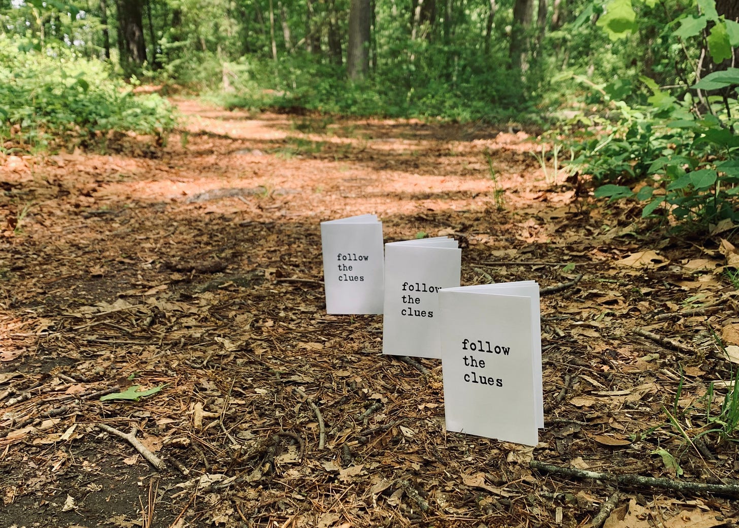 Three zines form a mysterious line in the woods, each with the title "Follow the Clues"