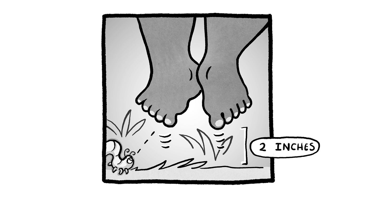 Close-up of the woman’s feet hovering just two inches above the grass while a tiny caterpillar watches. A label reads: “2 inches.” Close-up of the woman’s feet hovering just two inches above the grass while a tiny caterpillar watches. A label reads: “2 inches.”
