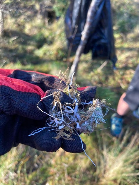 A wrens nest with Plastic material woven into it