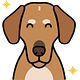My Emotional Support Blog