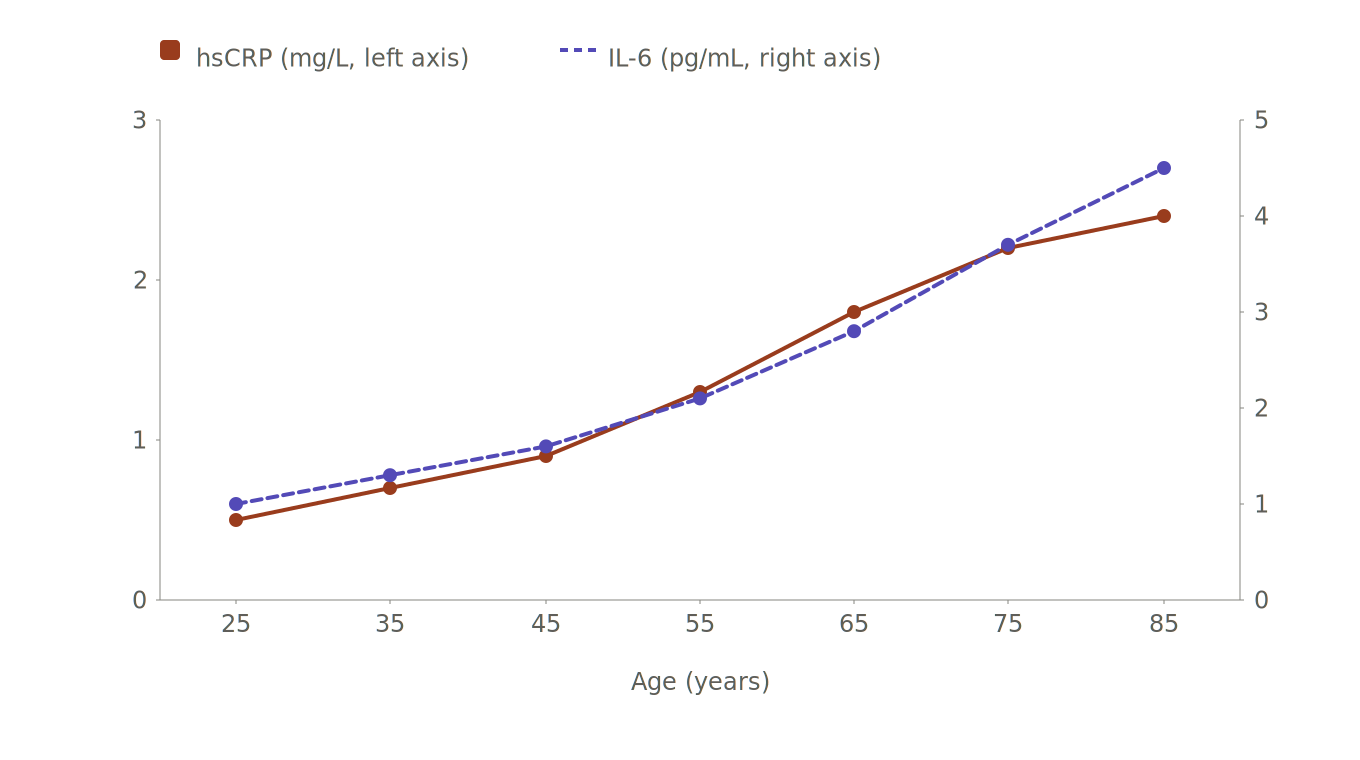 Illustration from BioAge’s Longevity Drug Cleared Phase 1 with an 86% Drop in Inflammation
