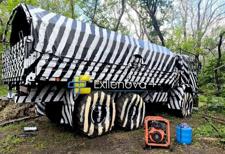 ZebraTruck_02.jpg