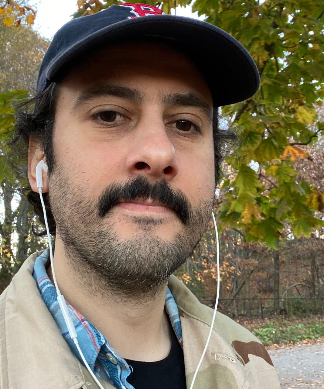 Rootology by Ted Metrakas