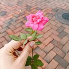 To novena or not to novena 🌹