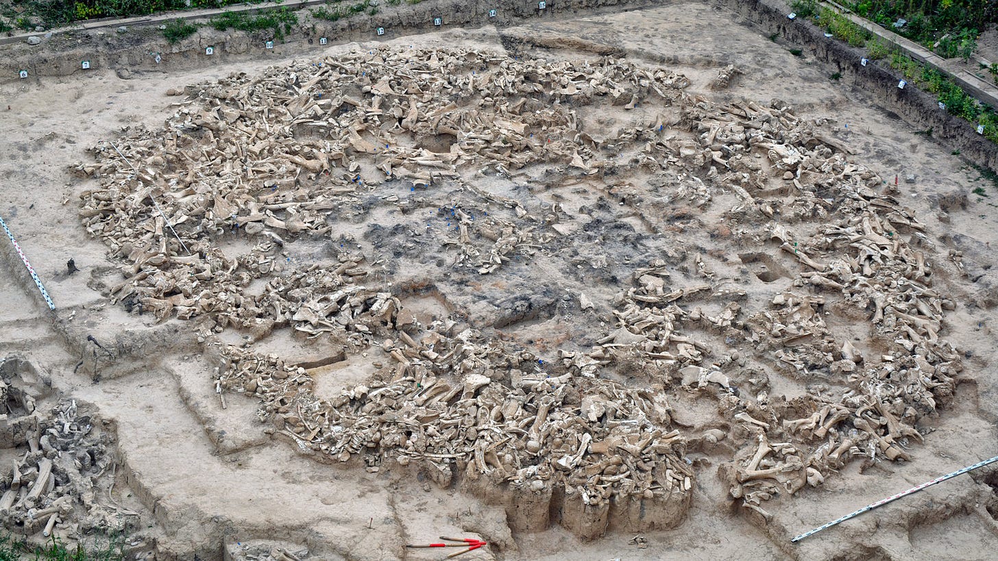 This Mysterious Ancient Structure Was Made of Mammoth Bones - The New York  Times