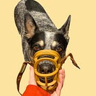 I don't want the vet to "win over" my dog