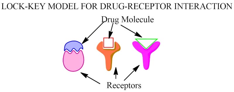 A simple, colourful cartoon showing three crude 'drug molecules' conforming to three similarly crude 'receptors'. It is titled LOCK-KEY MODEL