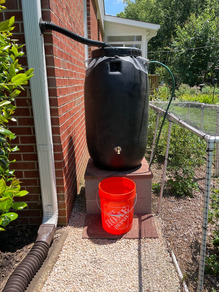 black and blue swallowtail butterfly on pink Joe Pye weed, muddy water bottle and flat soccer ball stashed under straps of yellow kayak, box of fresh veggies, and rain barrel on cinder blocks with orange bucket underneath spout