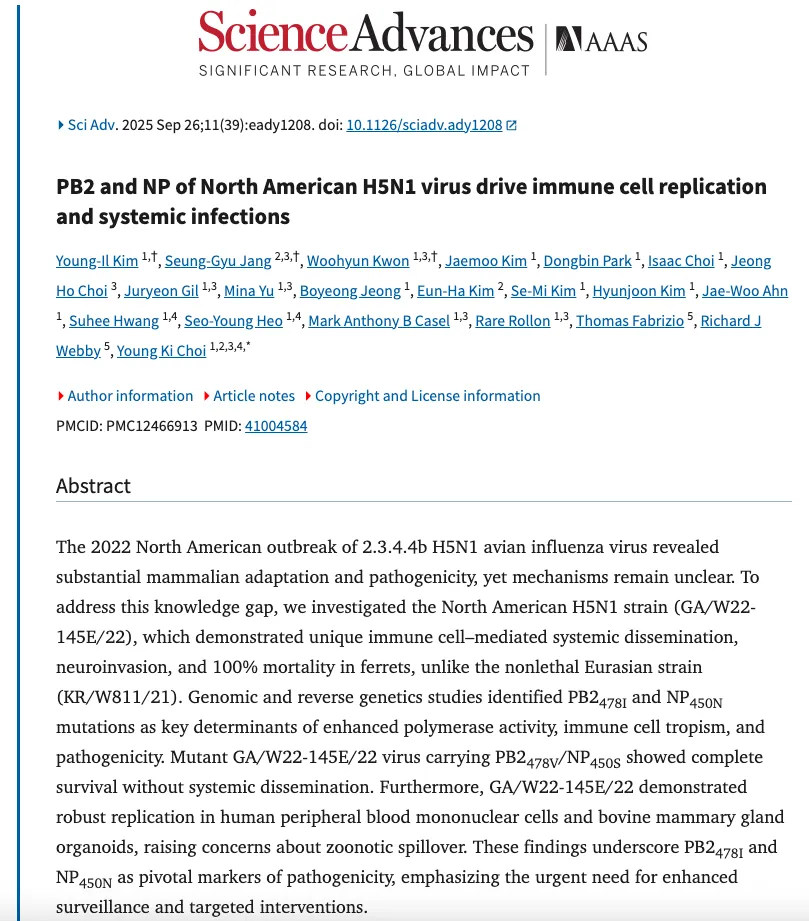 USA und Südkorea entwickeln chimäres Vogelgrippevirus – 100 % tödlich bei Säugetieren, infiziert menschliche Blutzellen und greift das Gehirn an