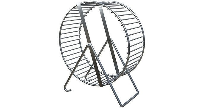 image of a pet hamster exercise wheel