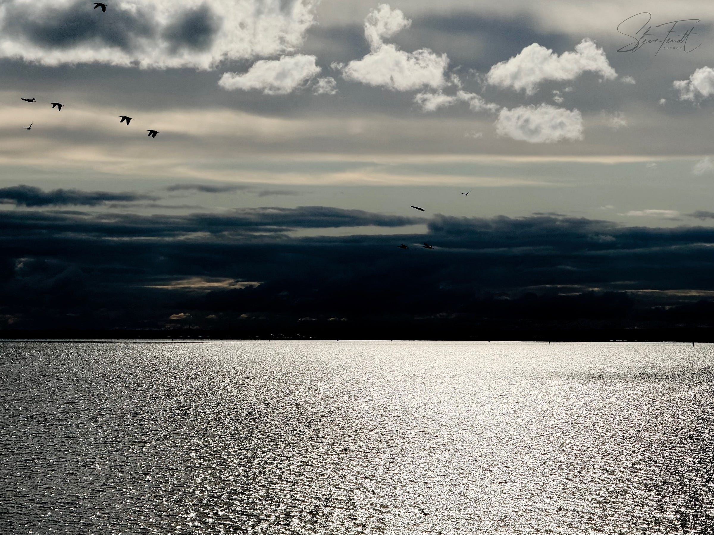 Photo: cloud- and seascape. Cormorants flying across a storm sky.