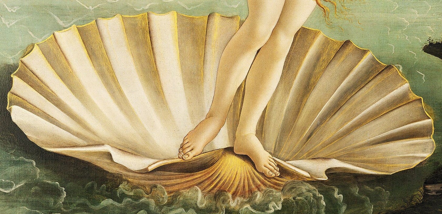 Detail of the scallop shell beneath the feet of Venus
