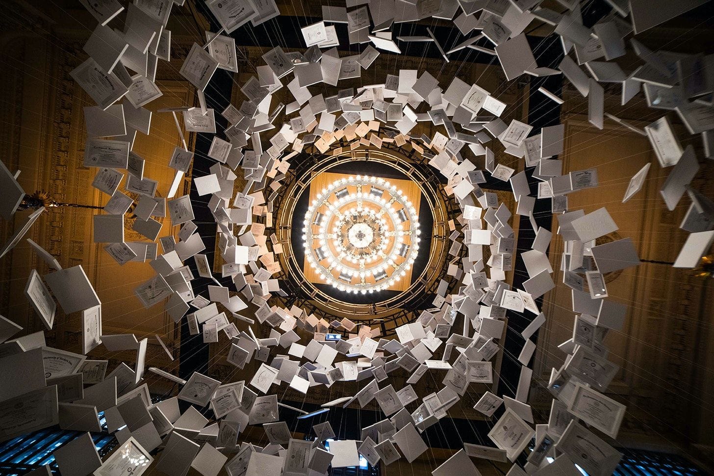 Crip Camp, First Impressions, & Natty Light's $470M Art Installation Crip Camp, First Impressions, & Natty Light's $470M Art Installation