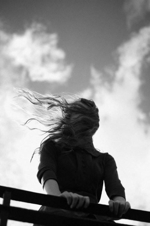 No photo description available. No photo description available.