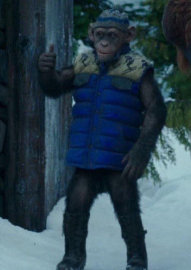 r/PlanetOfTheApes - I love this picture of Bad Ape so muchh