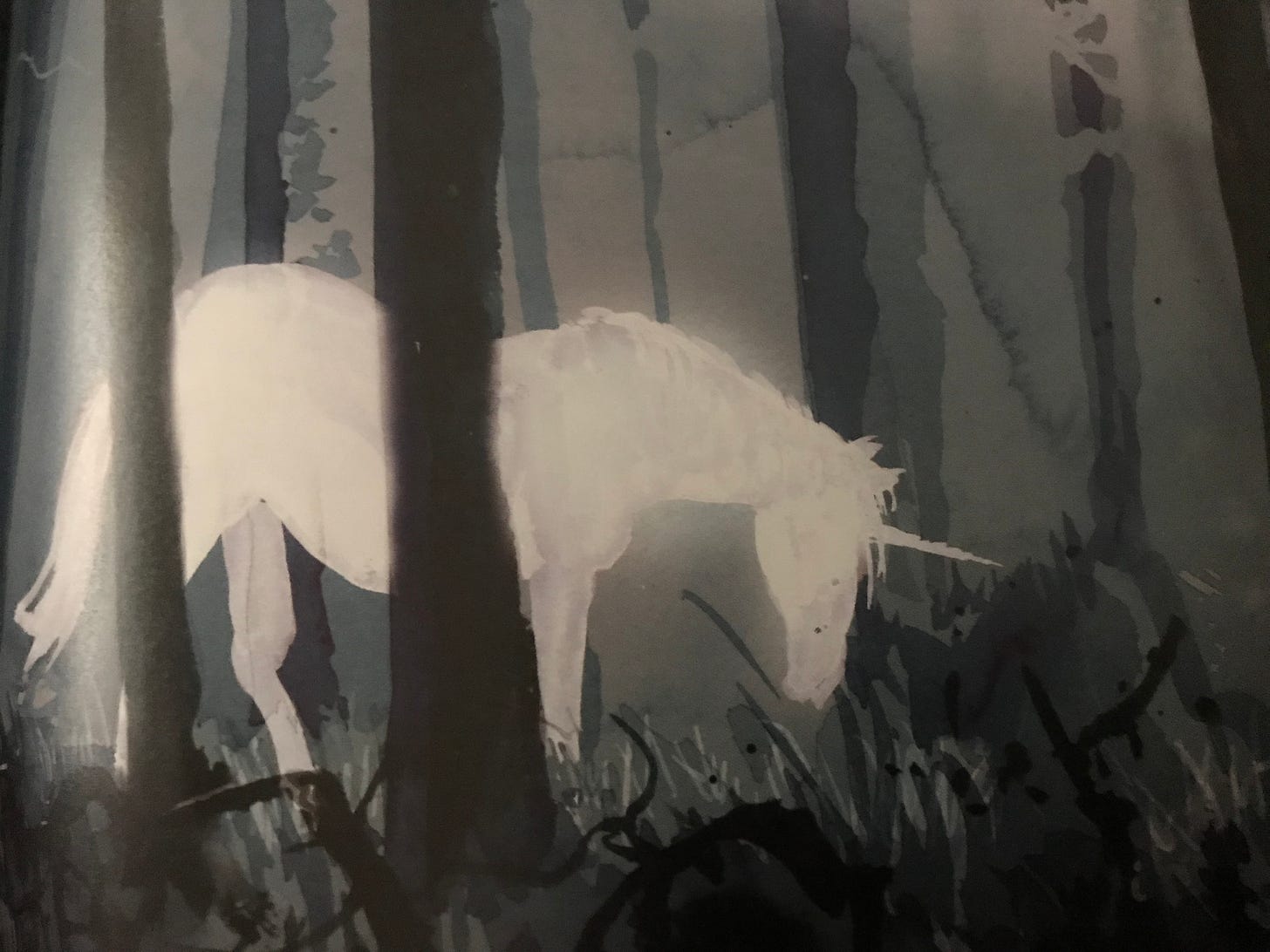 Photo of a unicorn in a forrest taken from an illustrated edition of Harry Potter and the Philosophers Stone