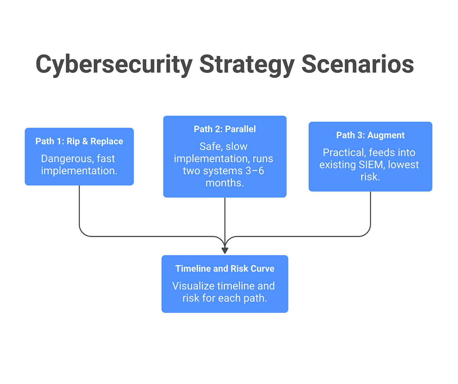 IMAGE 4: Three deployment paths