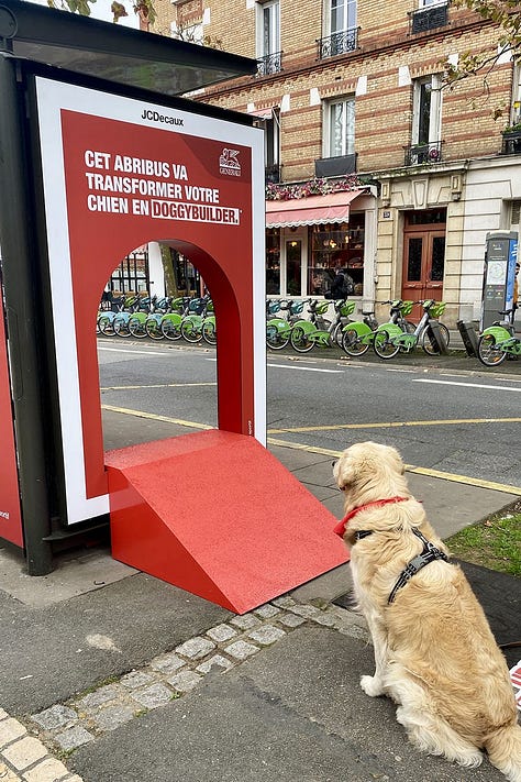 Urban Doggy Fit Generali Francia