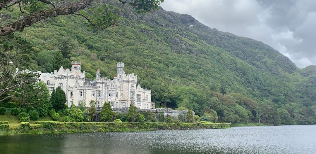 white concrete castle surrounded by trees white concrete castle surrounded by trees