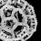 Back to the (Microscopic) Future... 