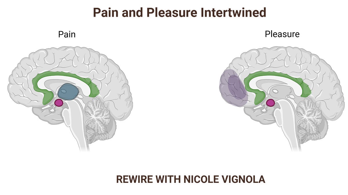 Does that hurt? - Mental Currency With Nicole Vignola