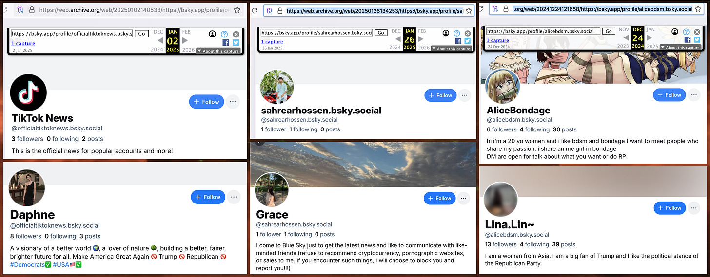 screenshots of Wayback Machine archives and the current state of two of the accounts in the network, showing changes to profile image and addition of repetitive biography screenshots of Wayback Machine archives and the current state of two of the accounts in the network, showing changes to profile image and addition of repetitive biography