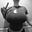 Acorn Sweetleaf's avatar