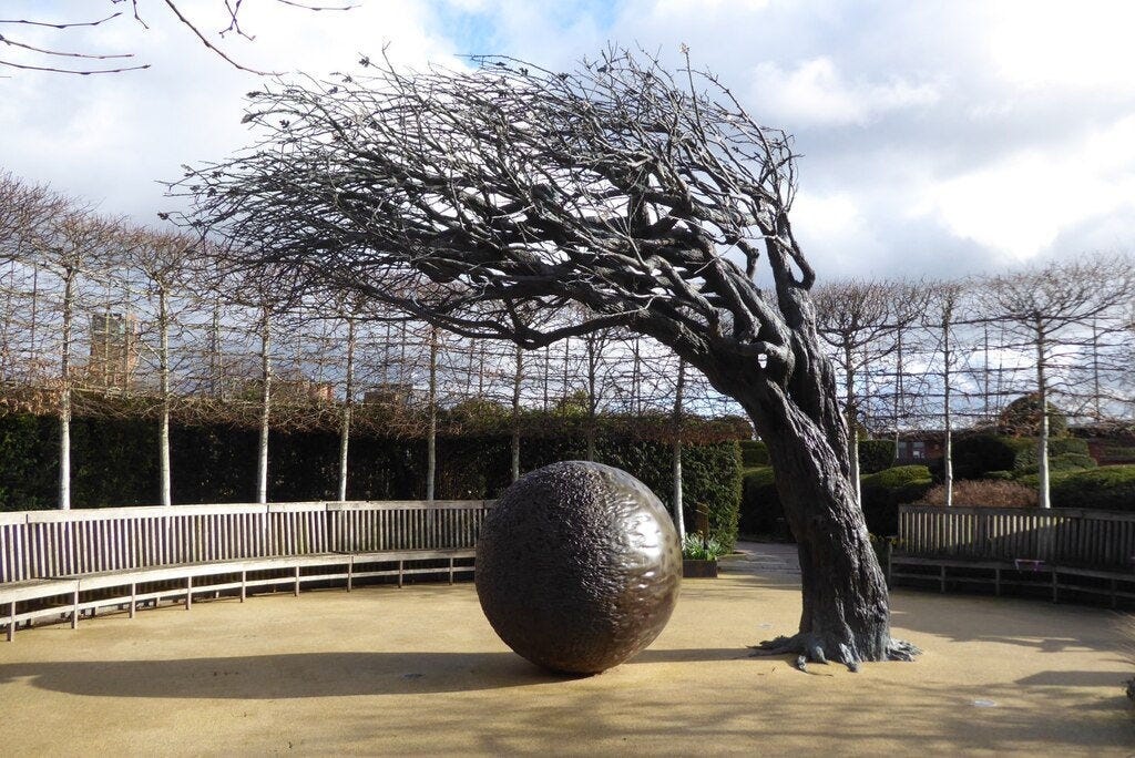 "His Mind's Eye Tree," Stratford-Upon-Avon (Photo: Philip Halling)