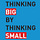 Thinking Big by Thinking Small
