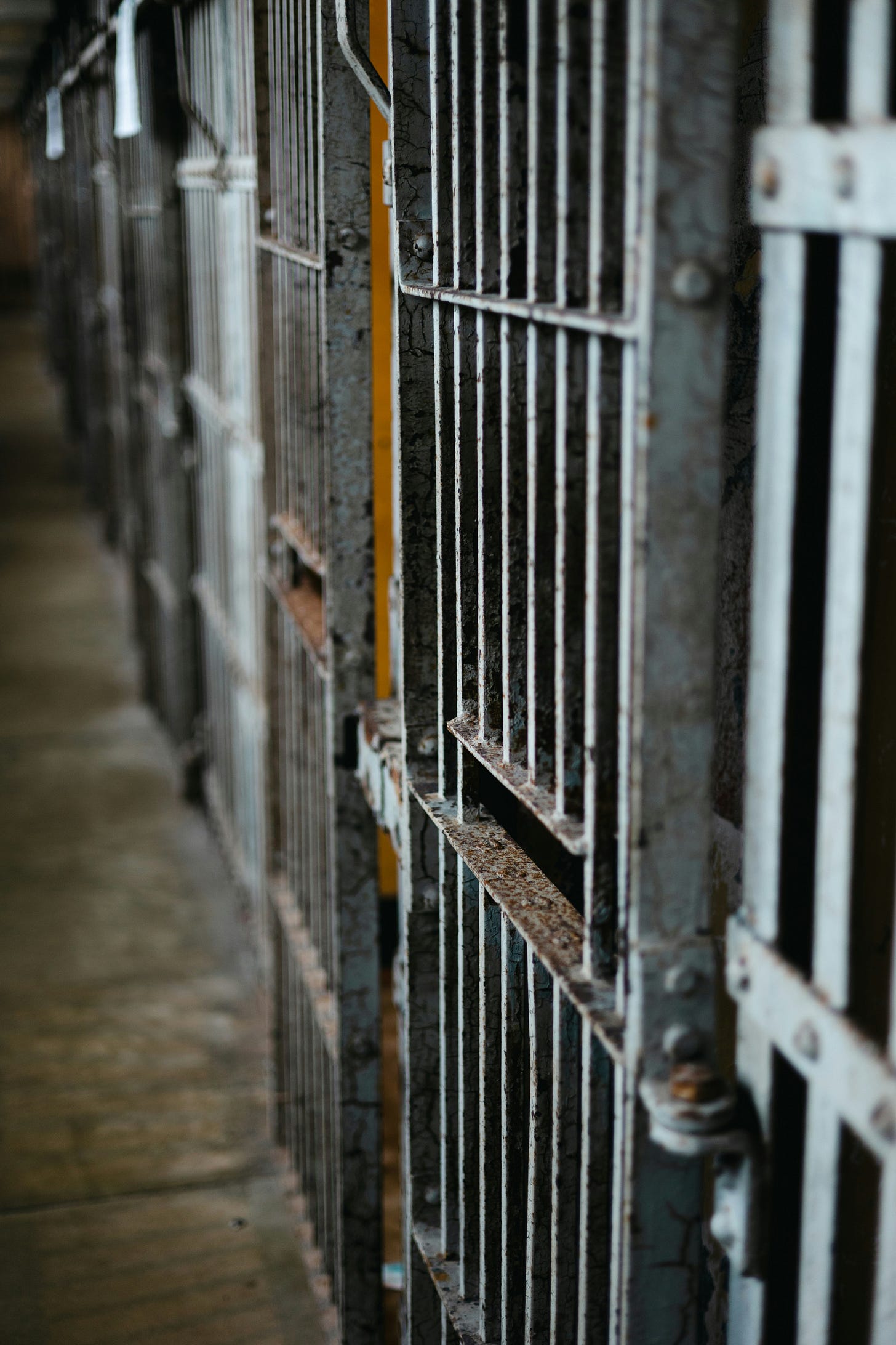 a row of rusty prison doors a row of rusty prison doors