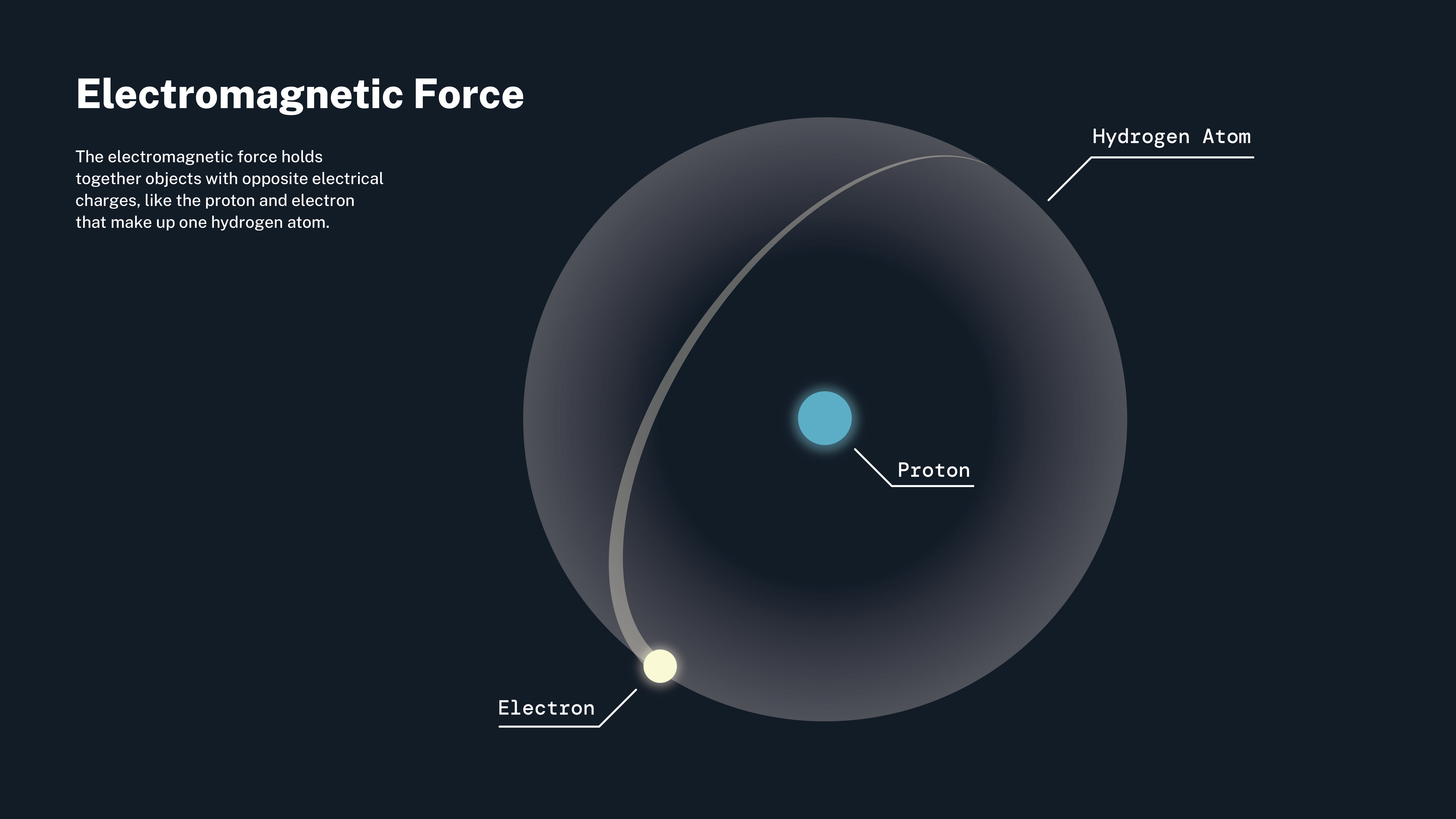 The Four Fundamental Forces That Shape Our Reality