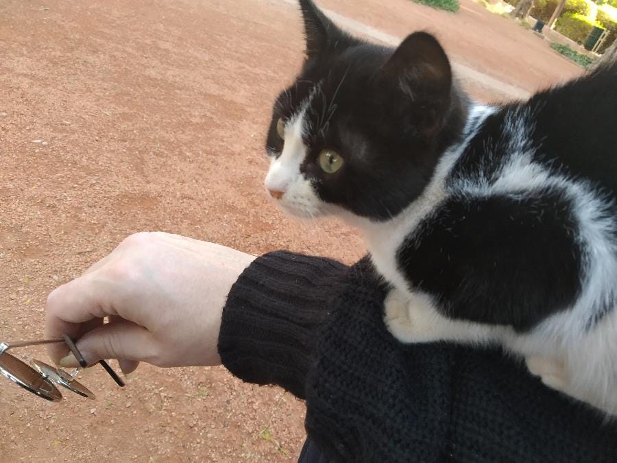 Travel longer by finding work abroad in the Jobs Abroad Bulletin