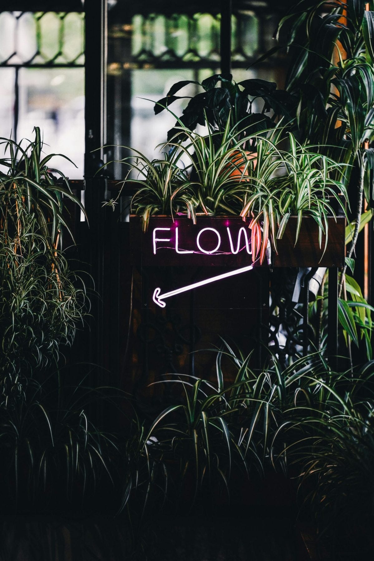 What Is ‘Flow State’ And How To Get Into It What Is ‘Flow State’ And How To Get Into It